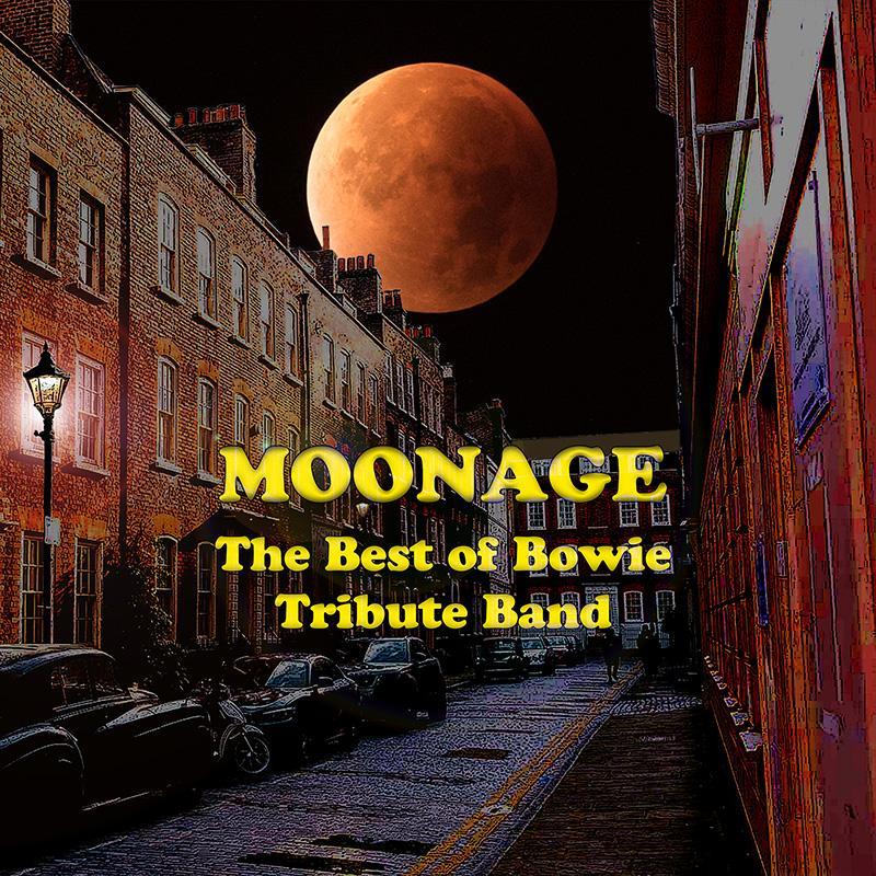 Moonage - The Best of Bowie Tribute Band Live