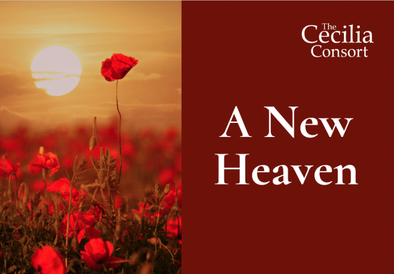 A New Heaven logo next to poppies in a field