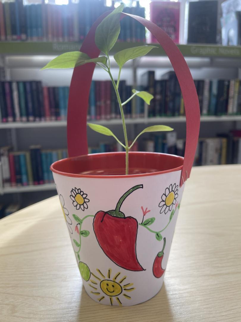 Image of a decorated pot containing a small plant