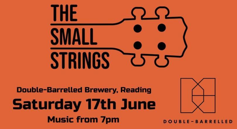The Small Strings - Live at Double-Barrelled Brewery