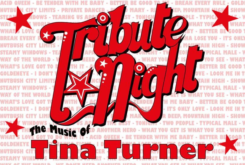 Tribute Night: Tina Turner logo