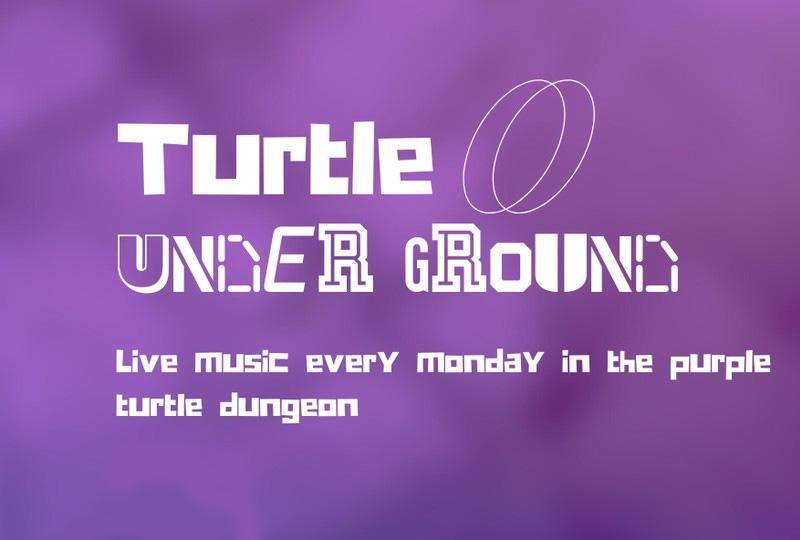The Turtle Underground