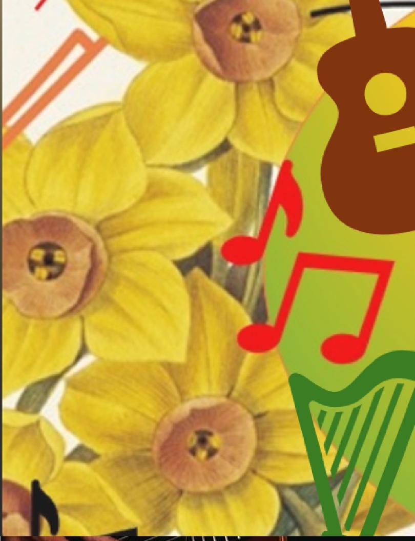 Bright image of daffodils with images of a guitar, musical notes and a harp
