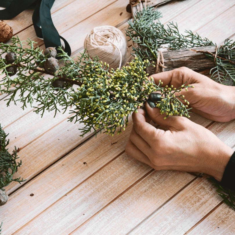 woman's hands arranging plants