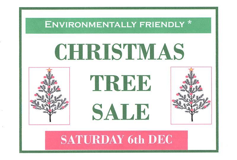 Poster for Christmas Tree sale featuring details of the event and two images of Christmas trees