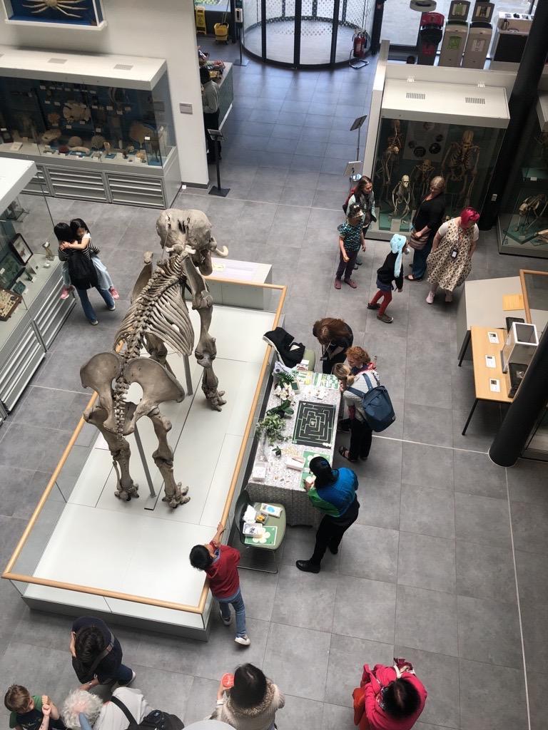 The Cole Museum of Zoology will be taking part in Wild About Reading