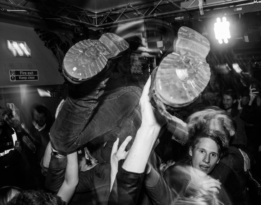 Purple Turtle, Reading