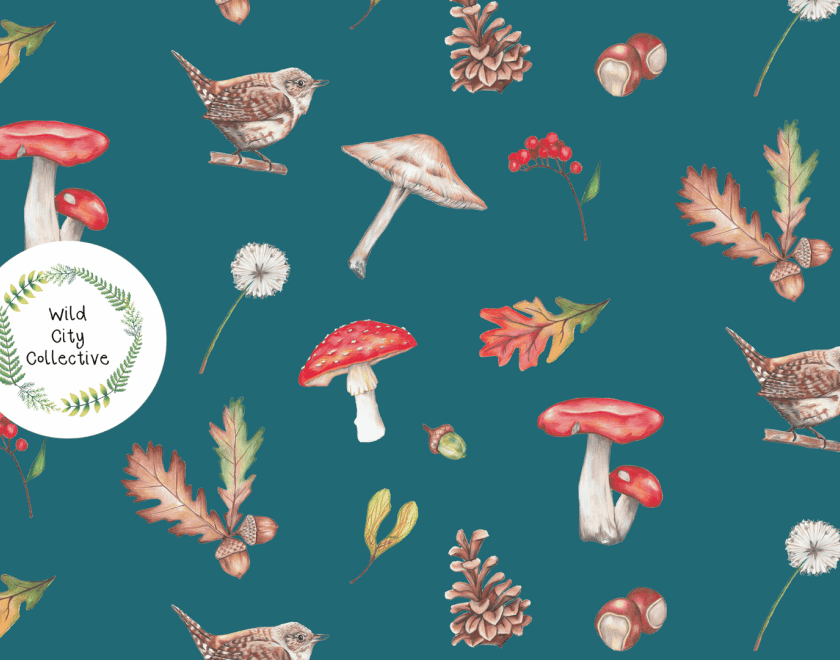 Blue background with autumn woodland images