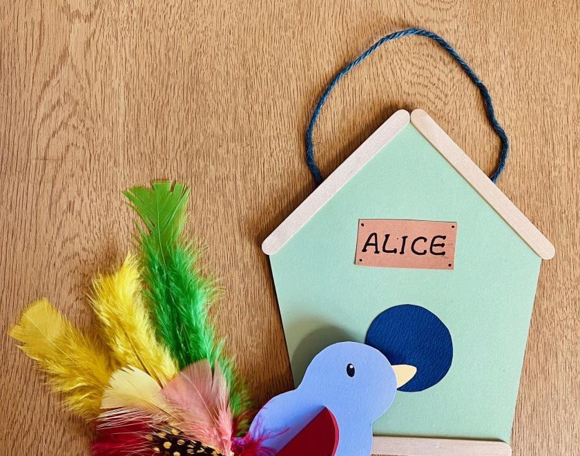 Spring bird with it’s own nesting box at Caversham Library