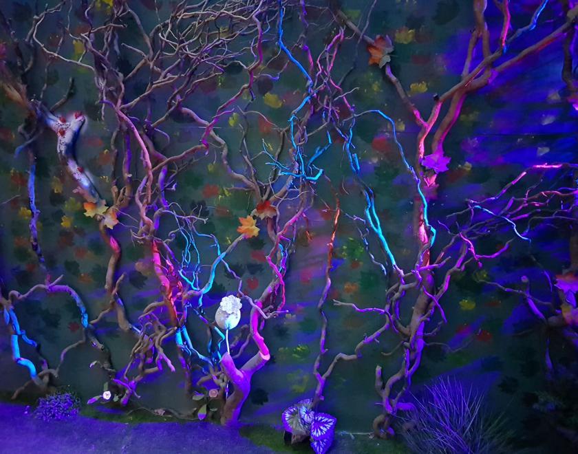 Escape Reading adventure rooms