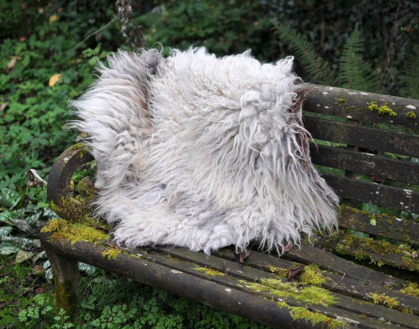 A picture of felted sheepskin seat pad