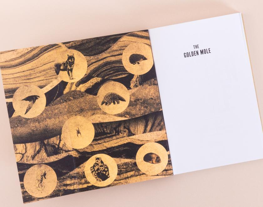 The Golden Mole Museum Challenge at The Cole Museum of Zoology