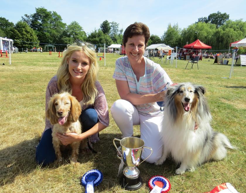 Dog show at Hurst Show and Country Fayre