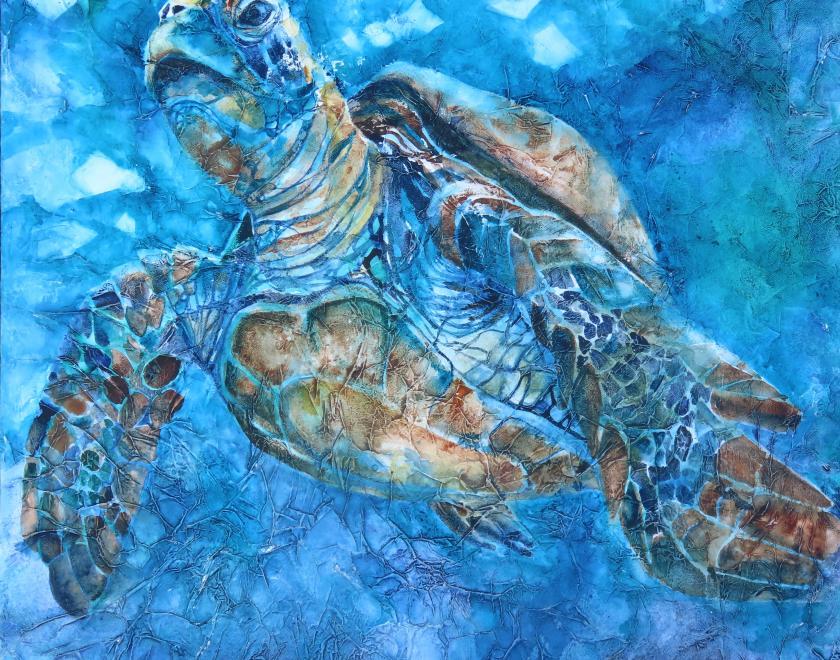 Green Turtle - watercolour on textured canvas - by Liz Chaderton