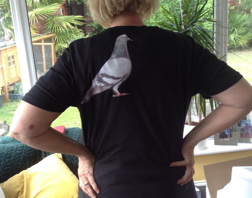 Has Anyone Seen My Pigeon t-shirt