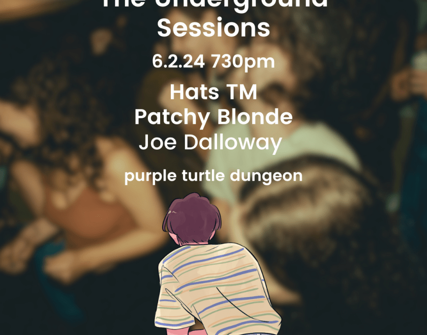 The Underground Sessions: @ The Turtle  A new night for acoustic acts and singer songwriters....
