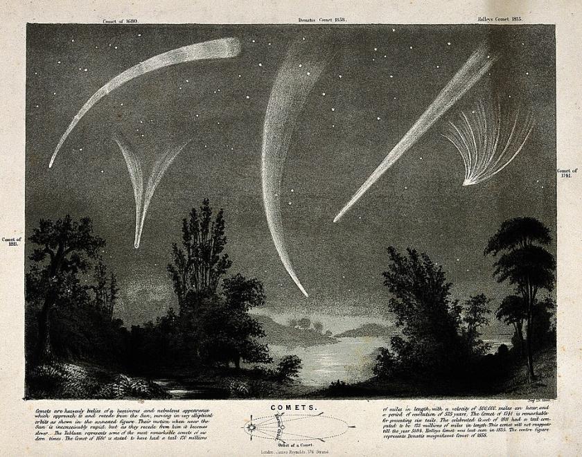 Comets in a night sky engraving