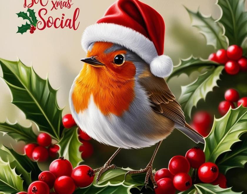 Robin in a Santa hat