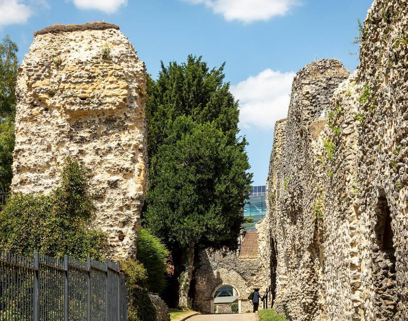Abbey ruins surrounded by trees