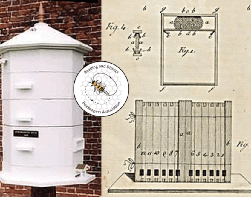 Beehive Photograph & Illustration 