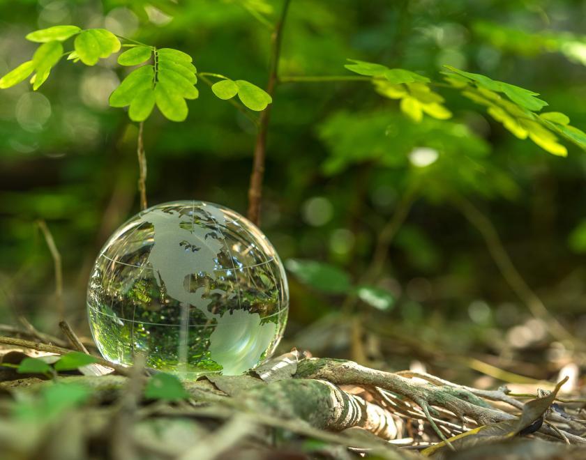 CADRA 2024 AGM & Open Meeting 