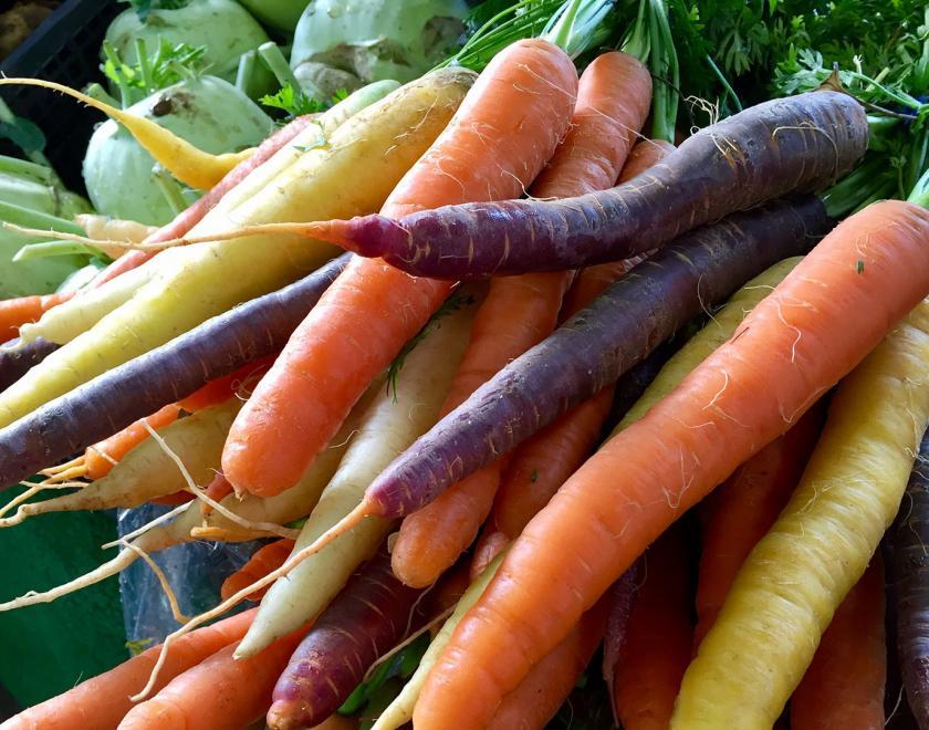 Heritage carrots from Paget's Produce