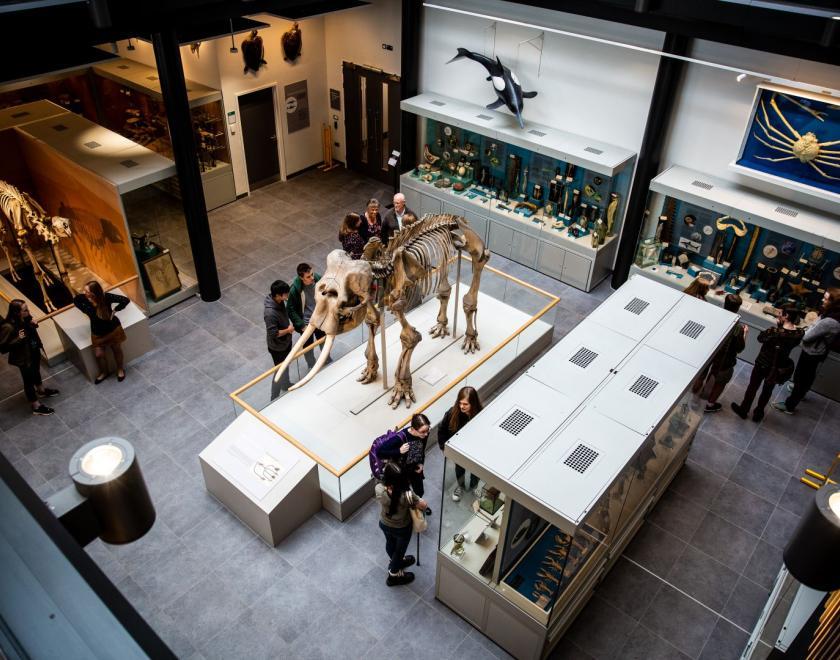 View of the Cole museum of Zoology as seen from the first story mezzanine