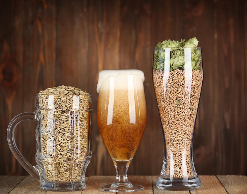 Beer Tasting Craft Beers Reading 