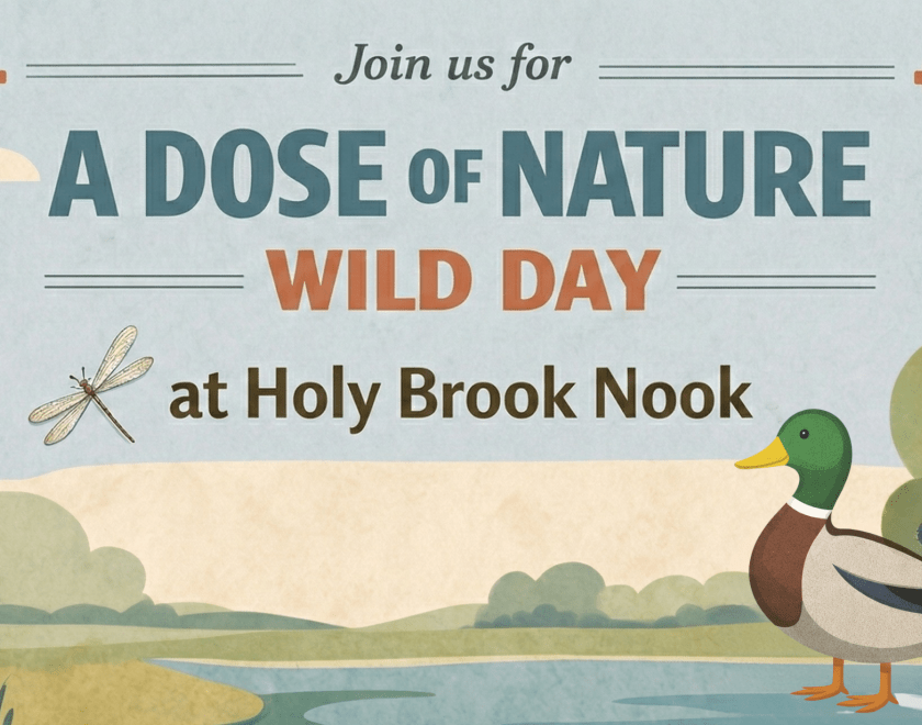 Image showing nature and a happy duck