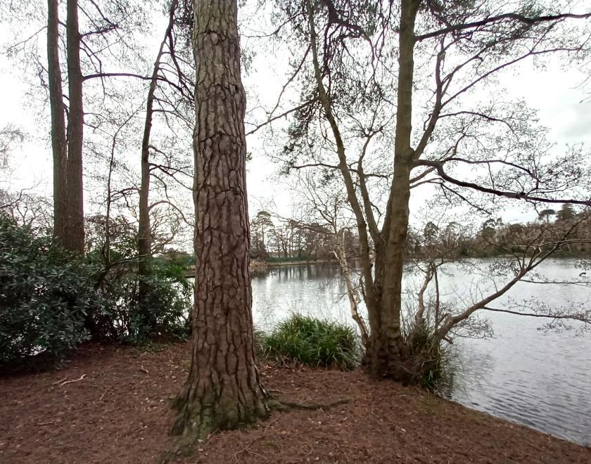 Estates and Manors of Earley