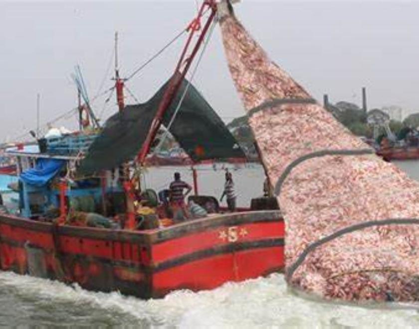 Theme Night at Readifolk