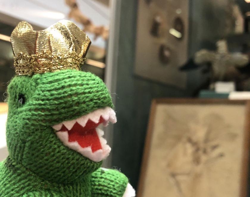 Dino Day at the Cole Museum of Zoology!