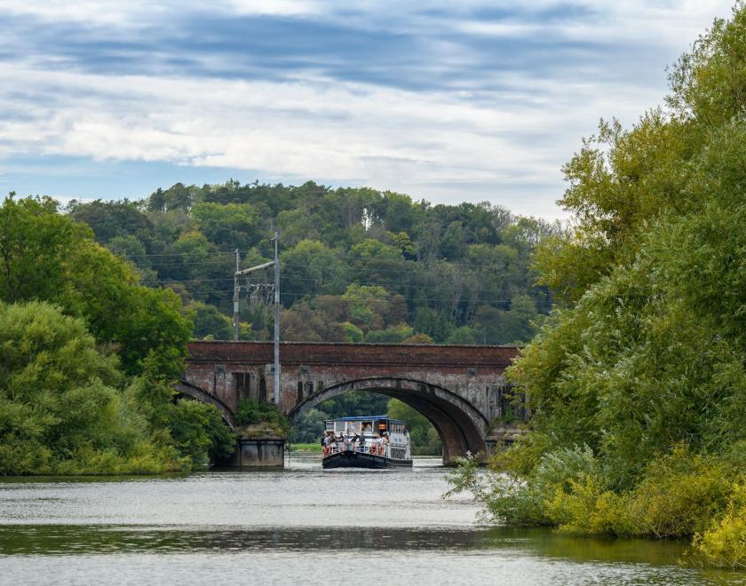 Caversham Princess at Gatehampton Railway Bridge