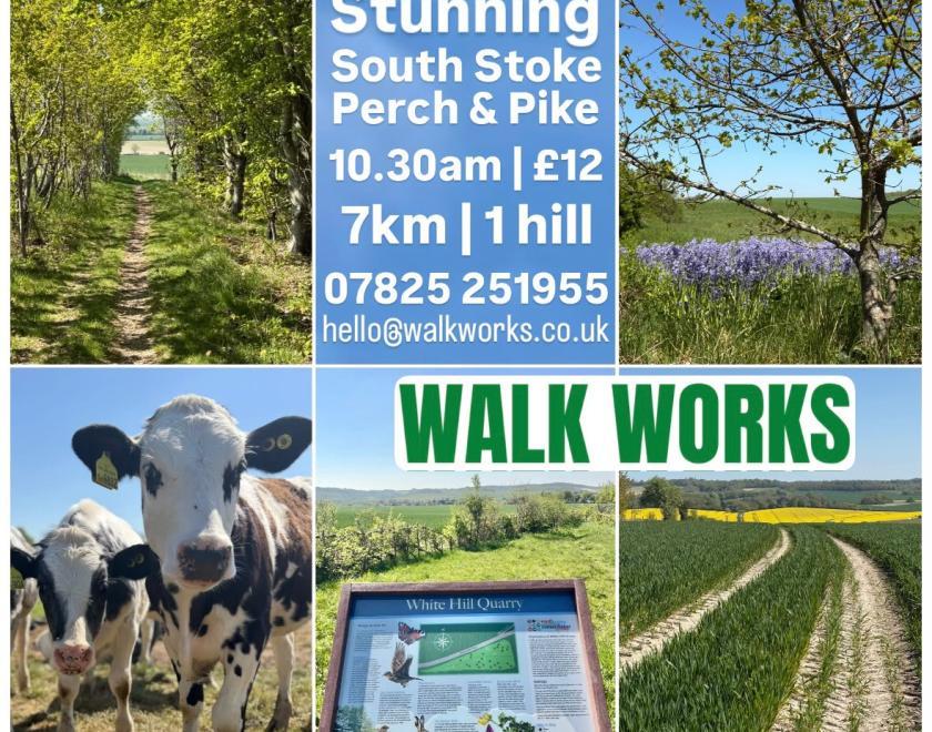 Friday 24th July - guided 7km walk in South Stoke