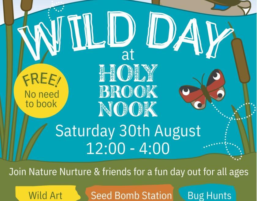 Wildlife scene with a duck swimming along the brook