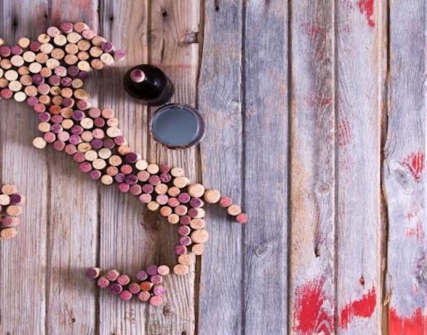 Discover the wines of Italy- Central Italy!