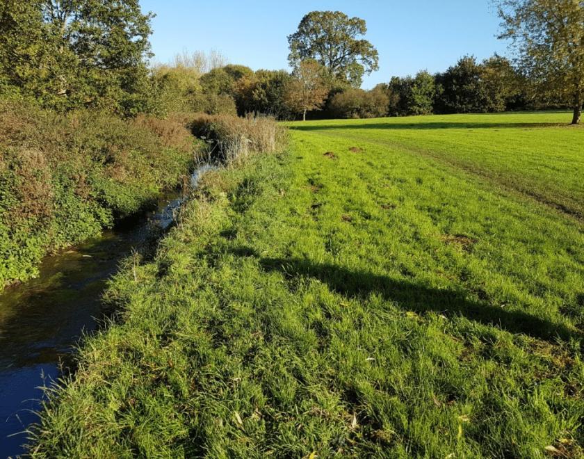 Loddon and Wood of Eagles