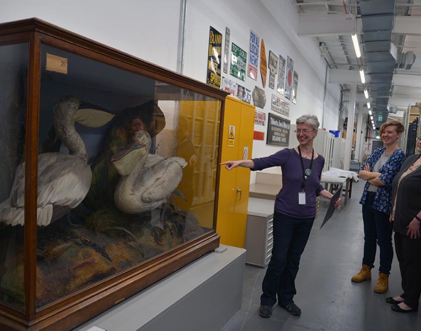 Three people looking at display cabinet at Museum's store