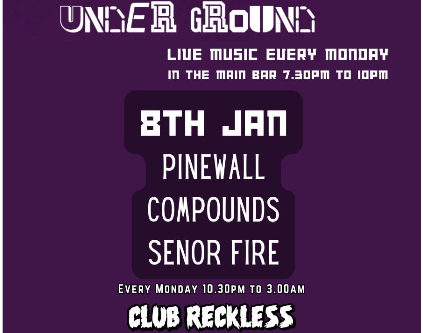 The Turtle Underground is a weekly Monday night event at The Purple Turtle. 3 Original local bands from Reading and the surrounding areas.