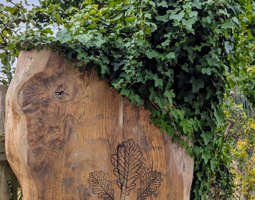 Walk Works circular route from Oaken Grove Vineyard