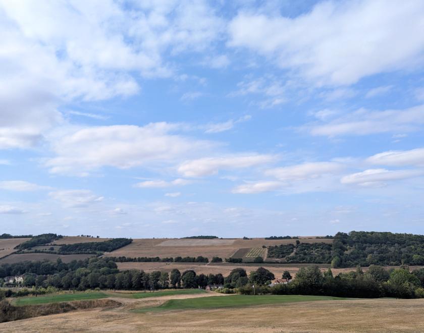 Walk Works - 7km guided walk - Streatley