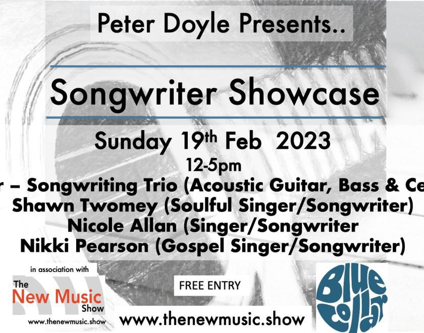 Singer Songwriter showcase at Blue Collar Corner