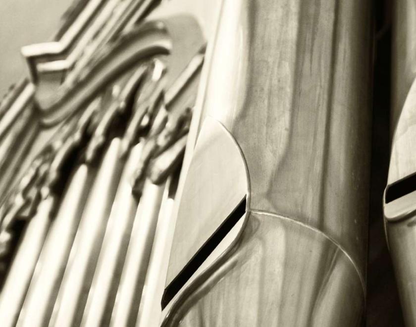 Organ Pipes