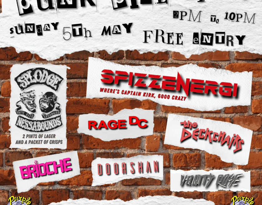 Punk Pile Up... ALL DAYER   -Spizzenergi -Splodgenessabounds -The Deckchairs -Rage DC -Brioche -DoorShan -Vanity Rose   FREE ENTRY / 18+ ID Required