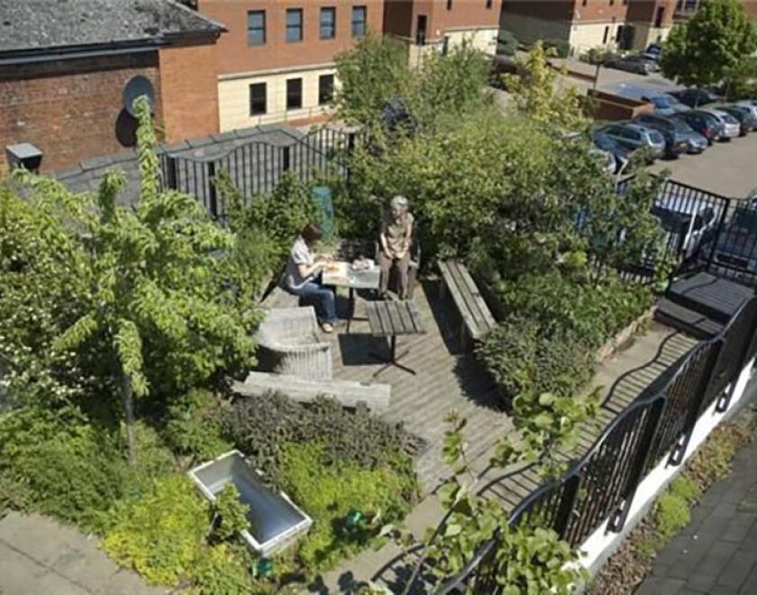 RISC Edible Roof Garden