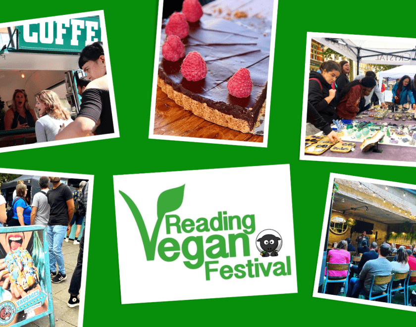 Montage of photos and the Reading Vegan Festival logo