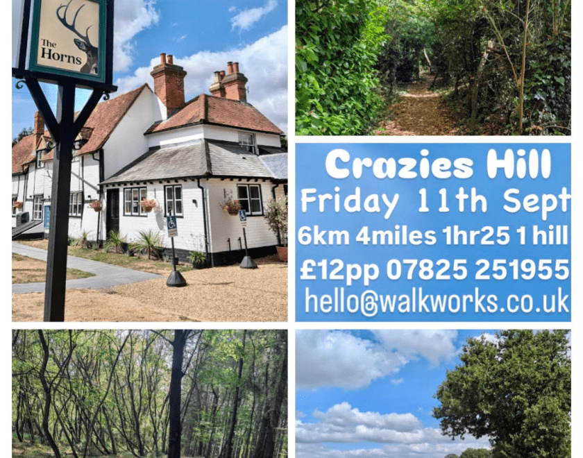 Walk Works 6km route in Crazies Hill