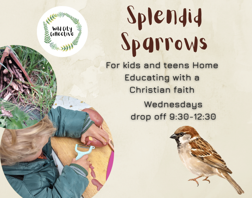 sparrows