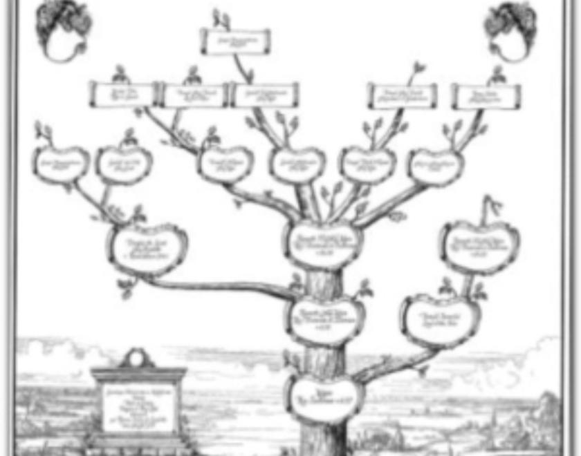 family tree