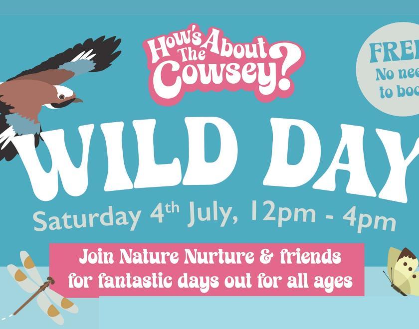 Wild Day poster